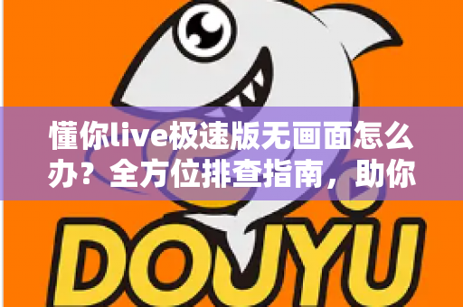 懂你live极速版无画面怎么办？全方位排查指南，助你快速恢复流畅直播体验
