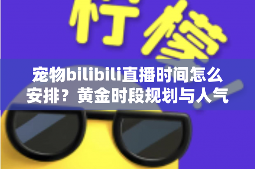 宠物bilibili直播时间怎么安排？黄金时段规划与人气提升全攻略，助你打造高人气萌宠直播间