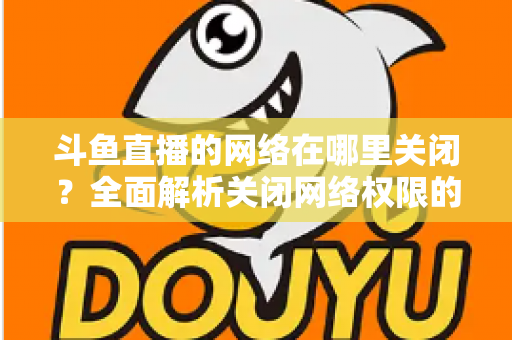 斗鱼直播的网络在哪里关闭？全面解析关闭网络权限的详细步骤与实用技巧