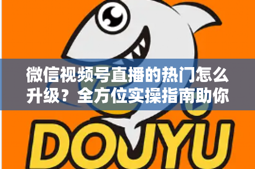 微信视频号直播的热门怎么升级？全方位实操指南助你流量快速增长