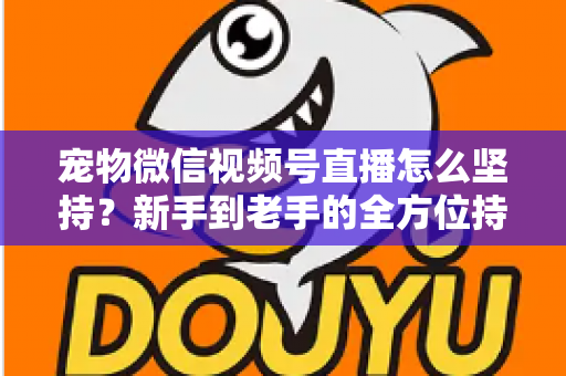 宠物微信视频号直播怎么坚持？新手到老手的全方位持久运营指南