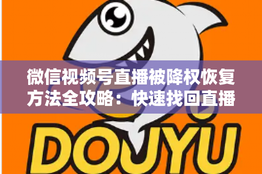 微信视频号直播被降权恢复方法全攻略：快速找回直播间流量与权重的实战指南
