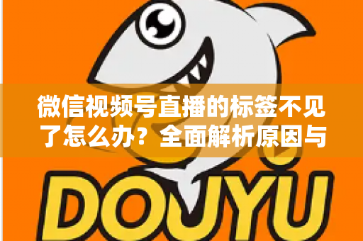 微信视频号直播的标签不见了怎么办？全面解析原因与恢复方法，助你快速找回流量入口