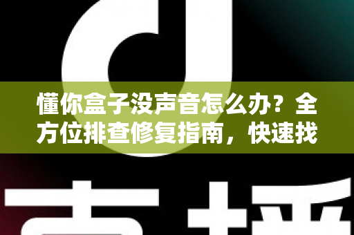 懂你盒子没声音怎么办?全方位排查修复指南,快速找回清晰音效 懂你盒子没声音怎么办?全方位排查修复指南,快速找回清晰音效